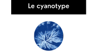 Animation photo - Cyanotype
