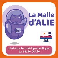 Mallette Numérique ludique "La Malle D'Alie"